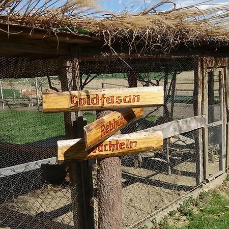 Urlaub Am Bauernhof Unger Grabersdorf